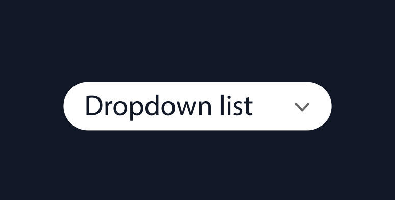 Dropdown List Screenshot